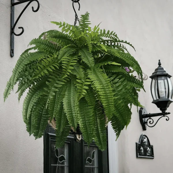 EverFern™ Instant Tropical Charm