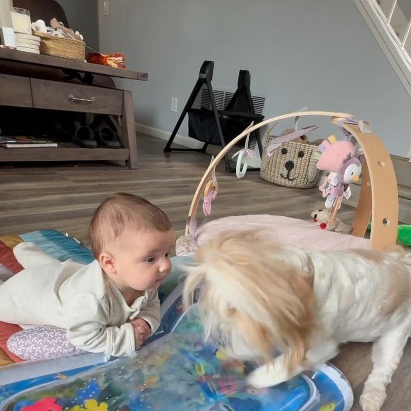 CoolZonePlaymat™ — Unleash Endless Joy and Defy Heat with Unbreakable Chill