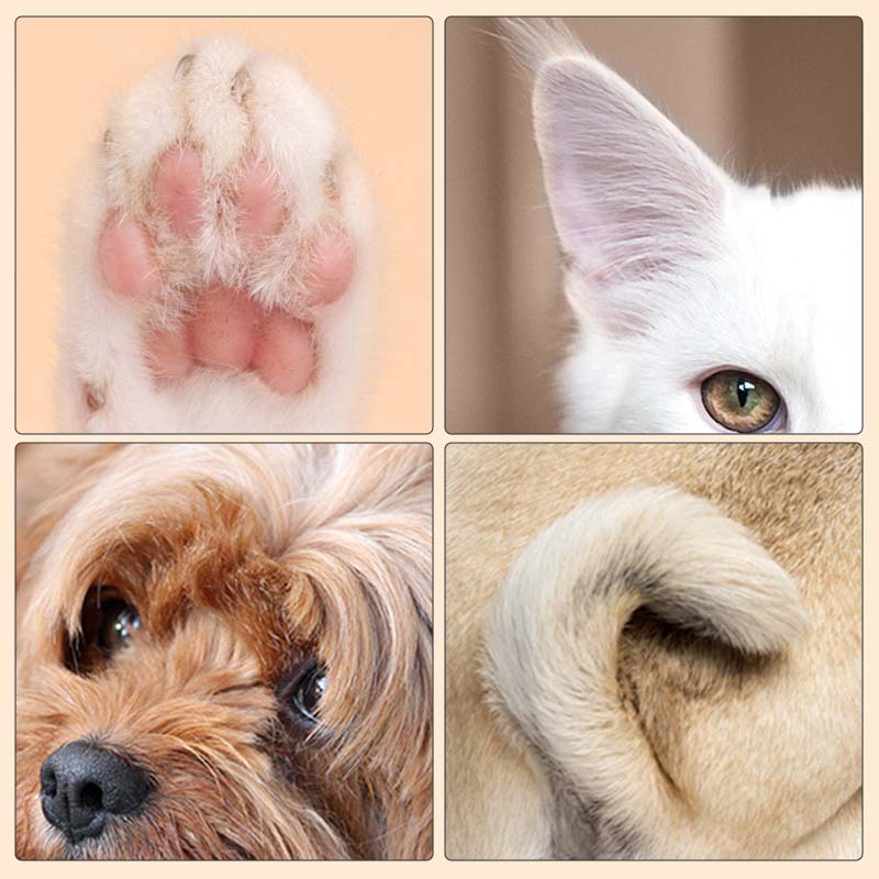 PawPure™ — Restore Your Pet’s Happy, Healthy Paws with Every Step