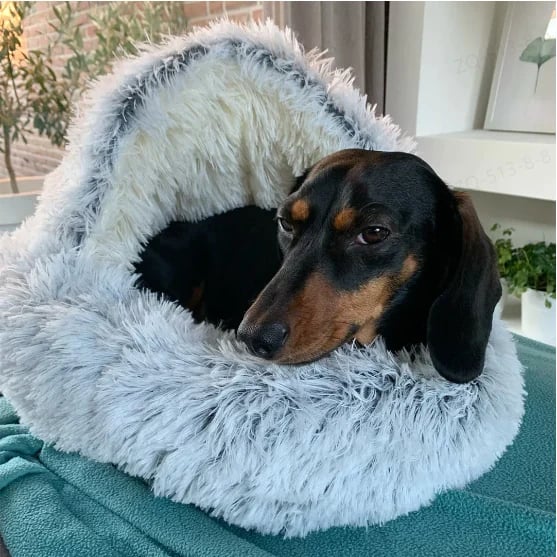 CozyPaws™ - Calming Pet Bed