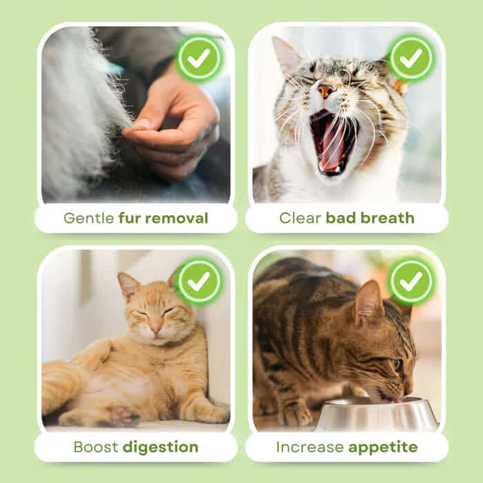 CatNutry™ | Cat Grass Sticks - Keep your furry friend healthy for a very very long life!