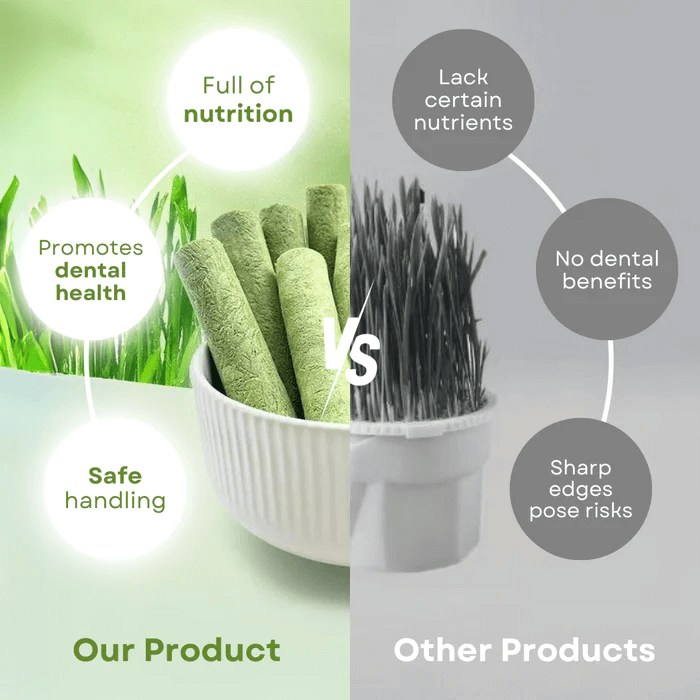 CatNutry™ | Cat Grass Sticks - Keep your furry friend healthy for a very very long life!