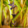 AquaSong™ - Hummingbird Rain Chain