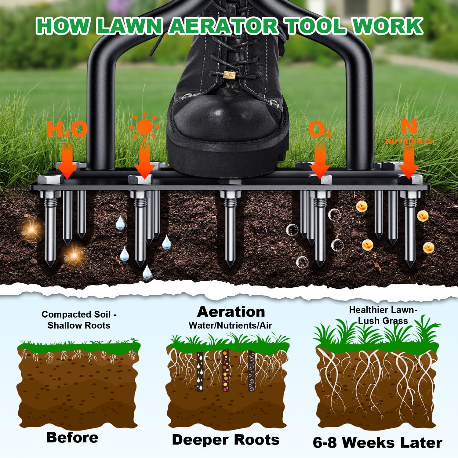 LawnThrive™ Freshen Lawn Fast