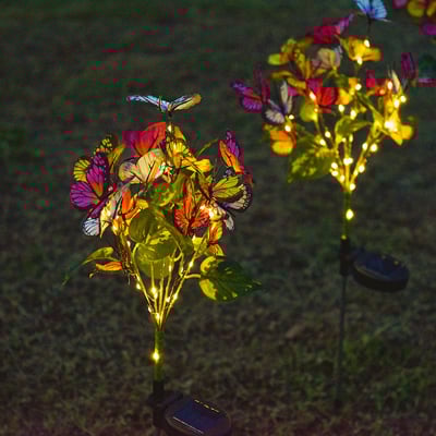 ButterflyBloom™ Enchants Garden Pathways