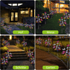ButterflyBloom™ Enchants Garden Pathways