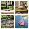 LotusFalls™ Tranquility That Flows