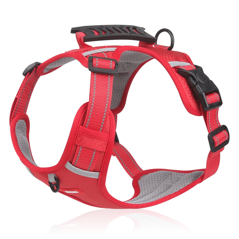 50% OFF | PawHalo™ | No-Pull Reflective Dog Harness