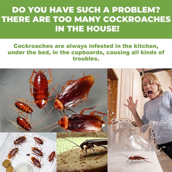 HeimFrei™ - Roach Bait Stations