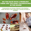 HeimFrei™ - Roach Bait Stations
