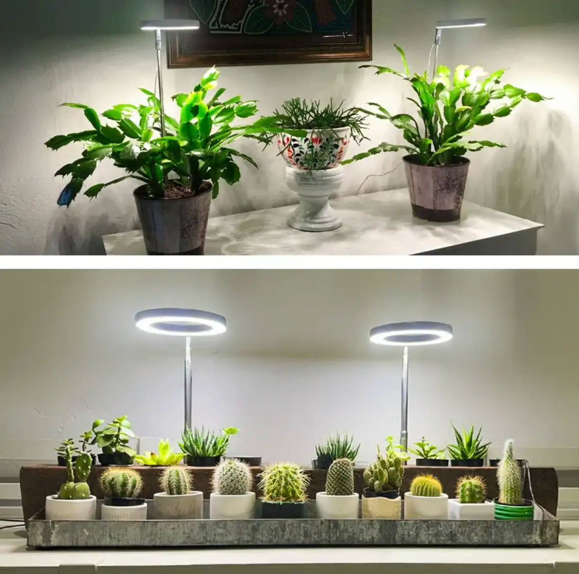 50% OFF | LumaSprout™ | Full-Spectrum LED Grow Light with Adjustable Stand