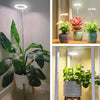 50% OFF | LumaSprout™ | Full-Spectrum LED Grow Light with Adjustable Stand