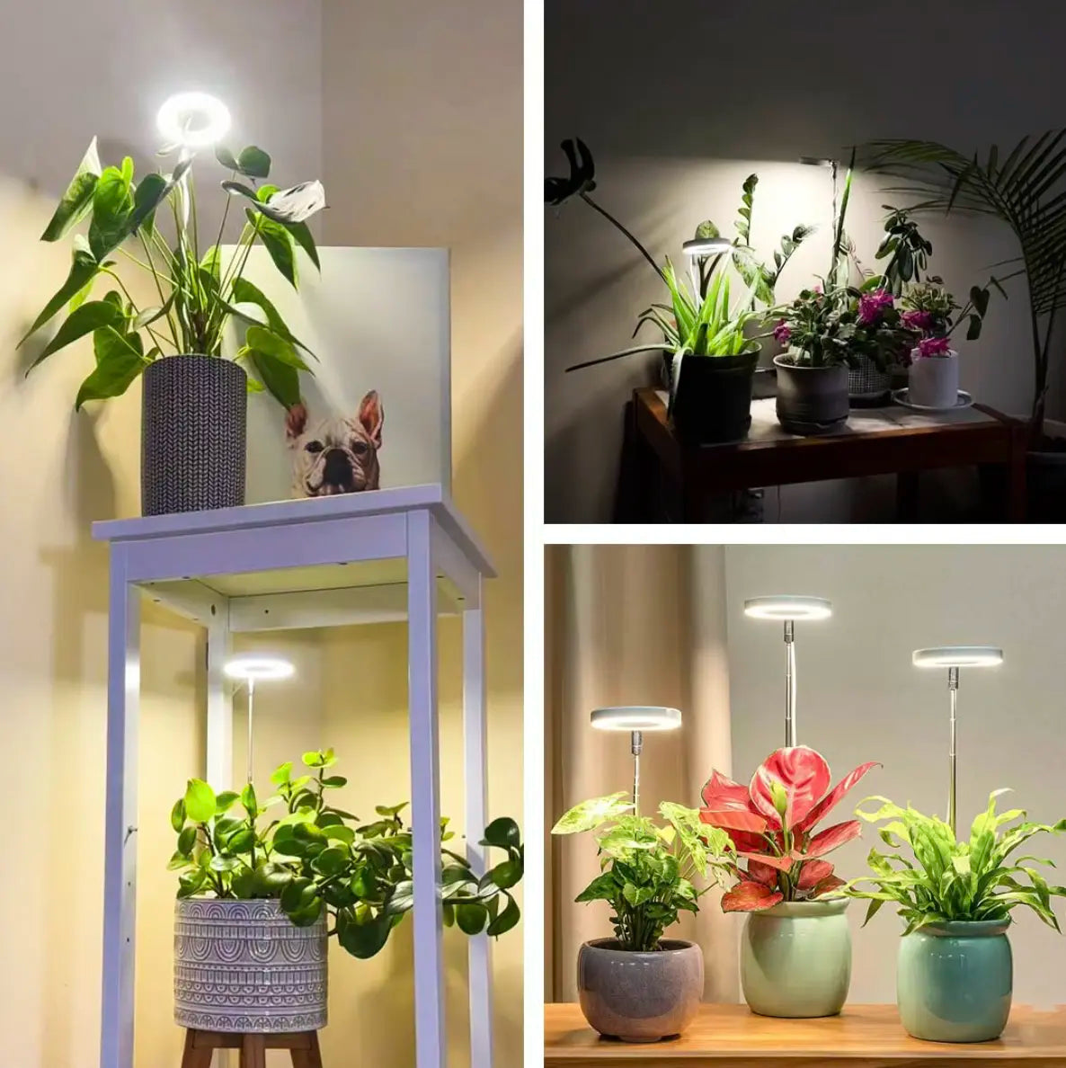 50% OFF | LumaSprout™ | Full-Spectrum LED Grow Light with Adjustable Stand