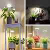 50% OFF | LumaSprout™ | Full-Spectrum LED Grow Light with Adjustable Stand