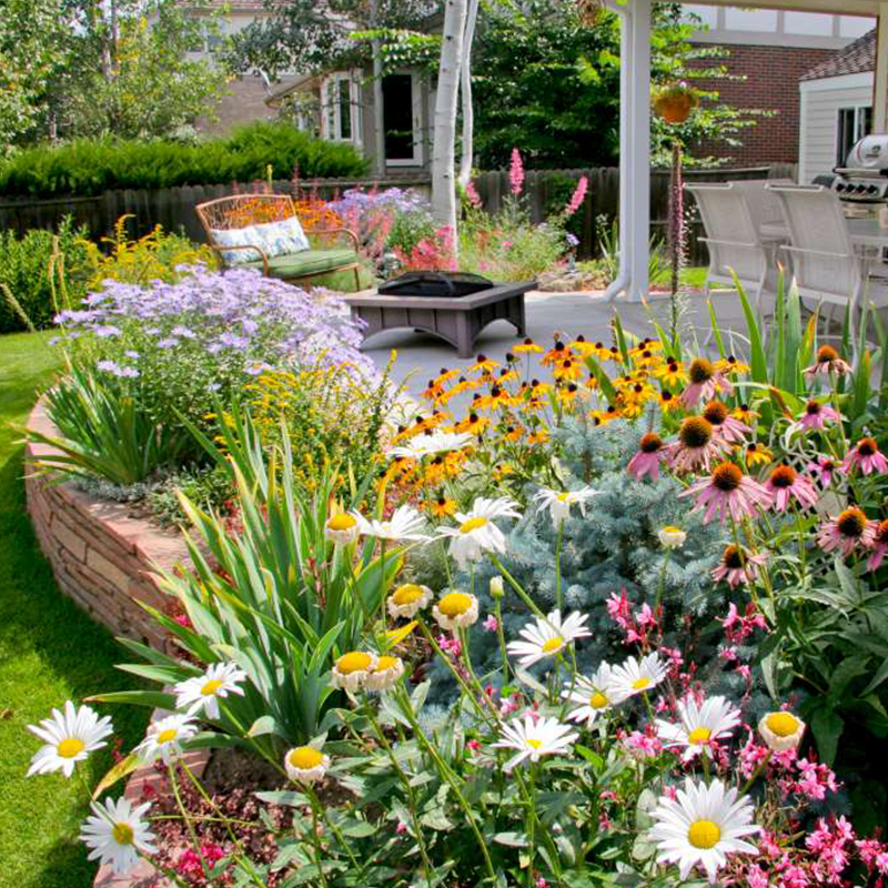 BloomBack™ – 1000 Perennial Flower Seeds