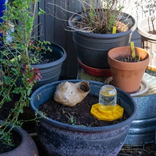 HiveDrink™ Hydrates Pollinator Life