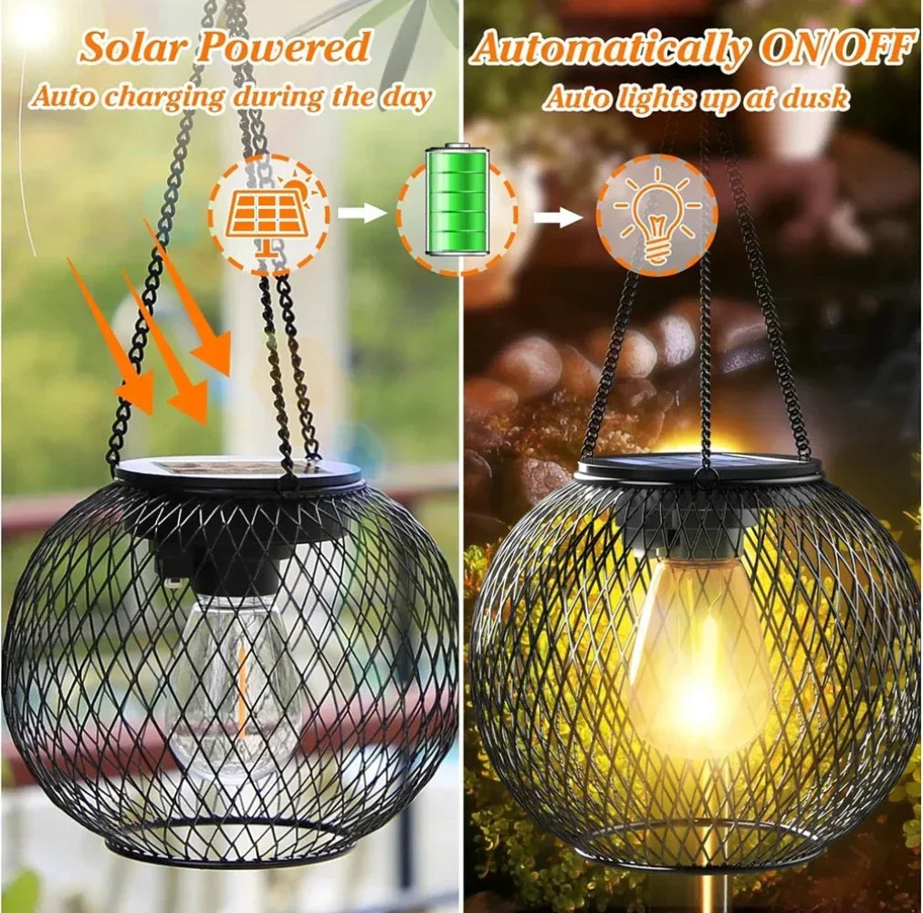 Moonlight Garden™ - Sun Magic