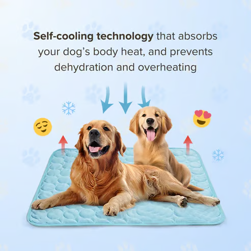 ChillPaws – Instant Relief Cooling Mat
