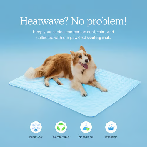 ChillPaws – Instant Relief Cooling Mat