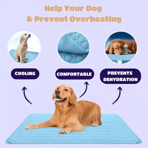 ChillPaws – Instant Relief Cooling Mat