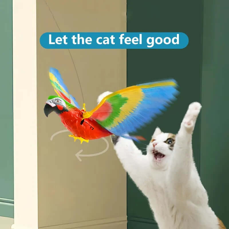 Interactive Bird Cat Toy