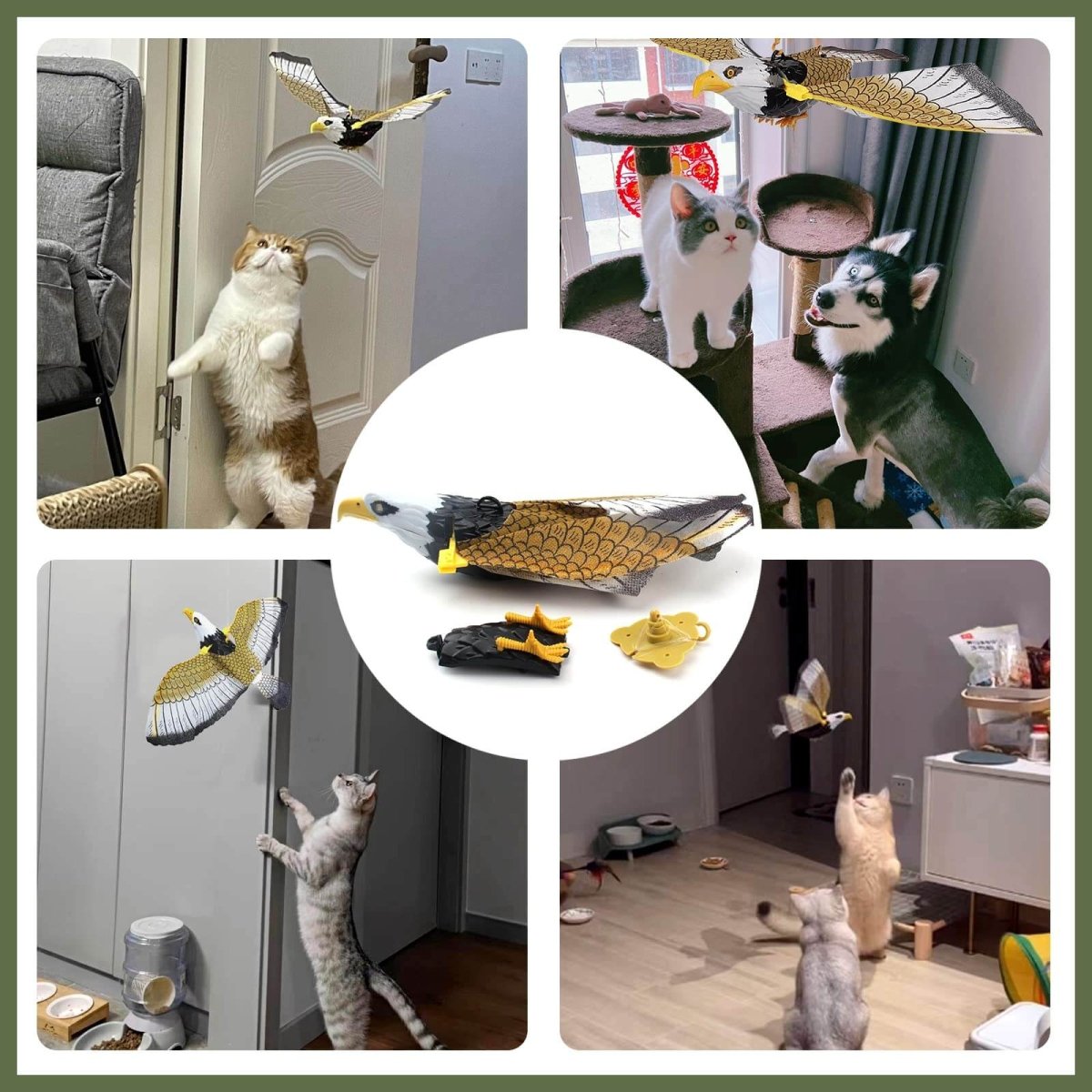 Interactive Bird Cat Toy