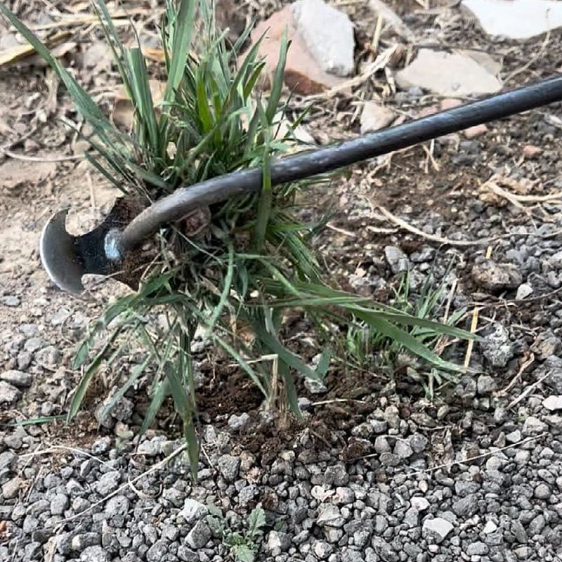 GrassGuard™ | The Ultimate Weed Removal Tool