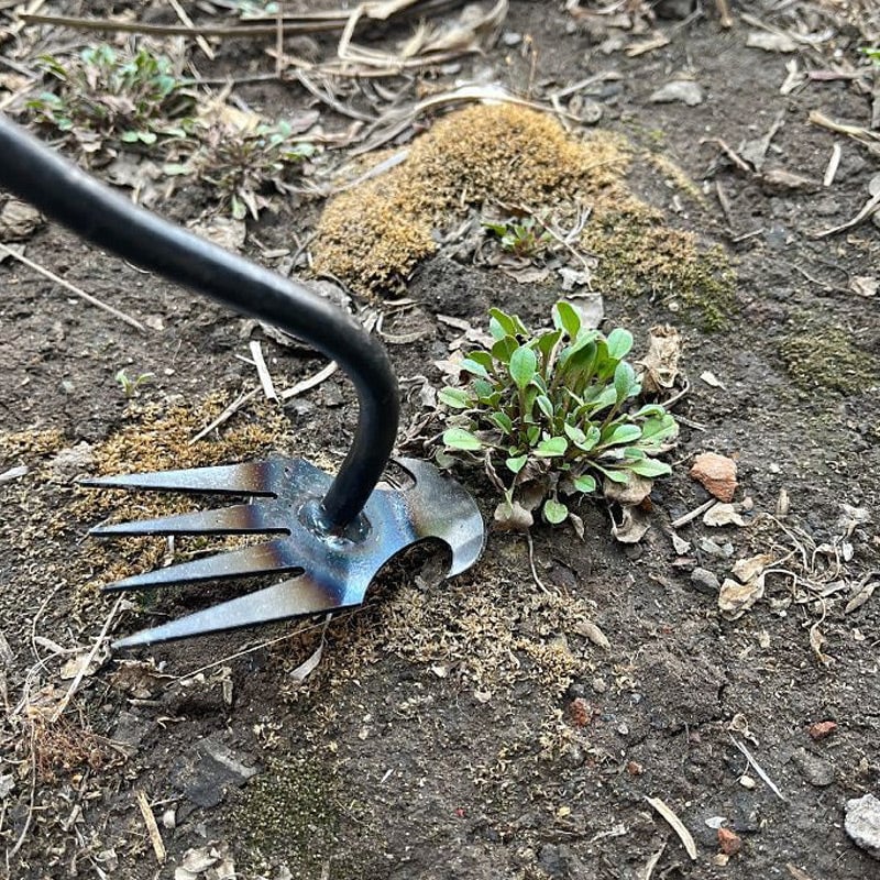 GrassGuard™ | The Ultimate Weed Removal Tool