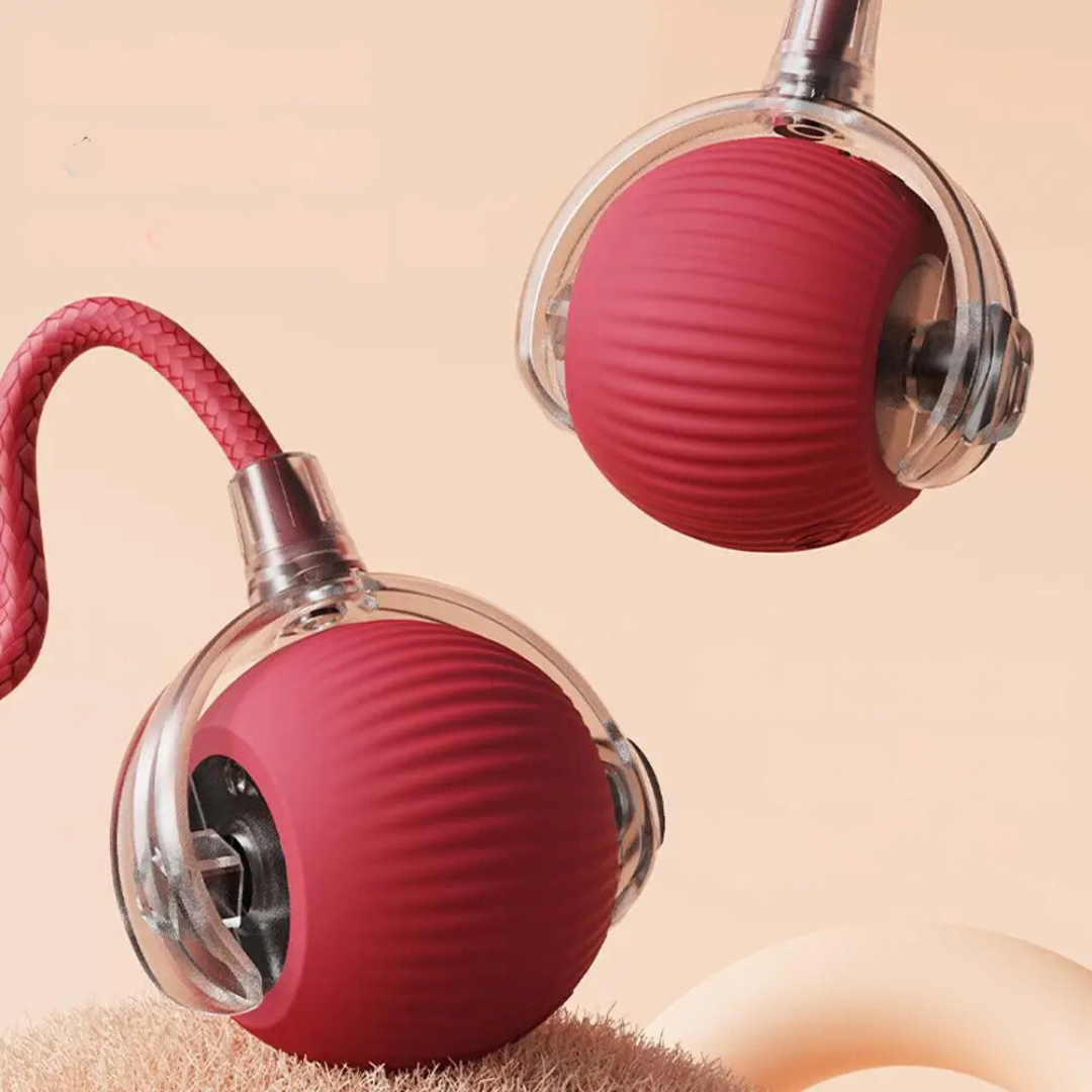 50% OFF | TailTango™ | Interactive Cat Toy Ball with Tail