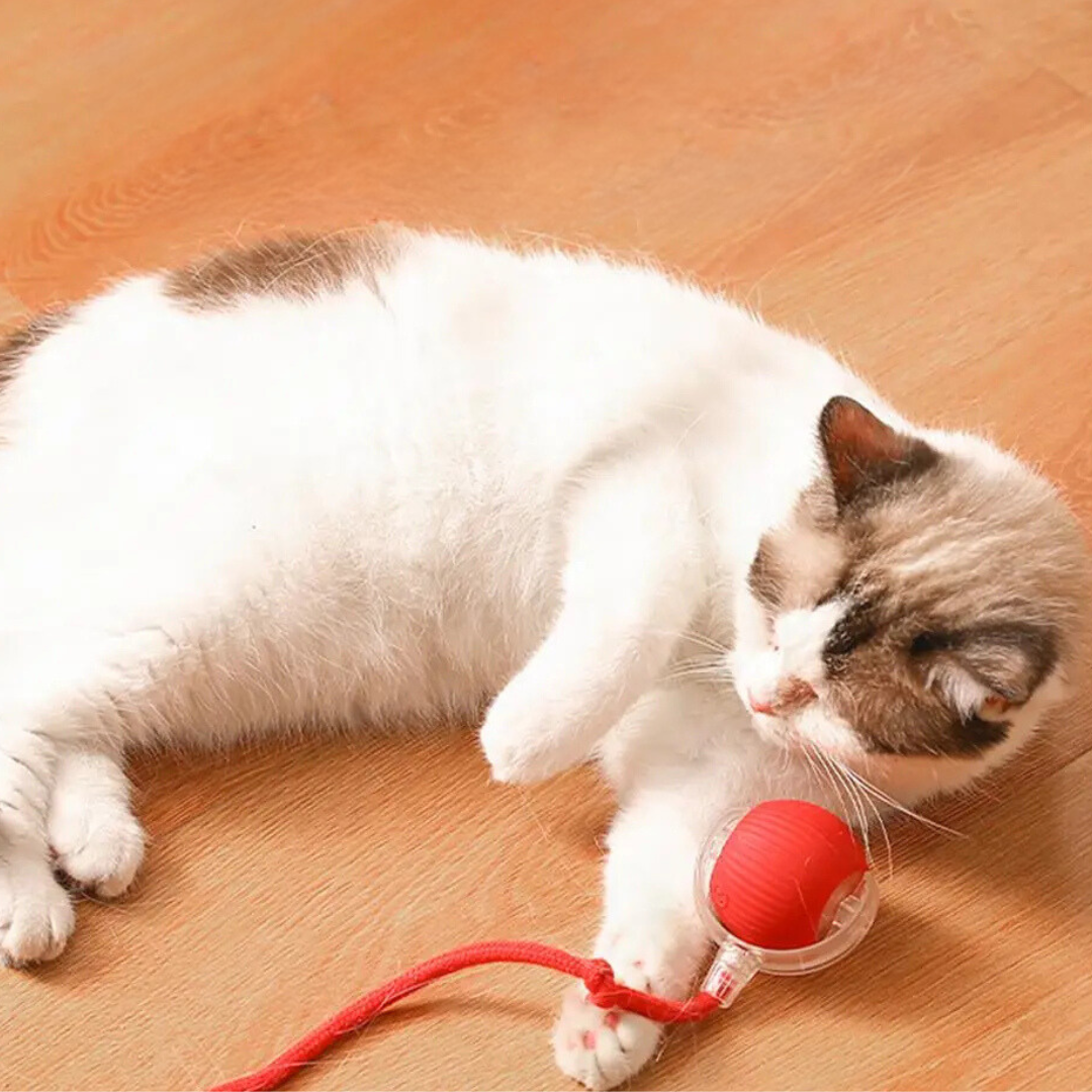 50% OFF | TailTango™ | Interactive Cat Toy Ball with Tail