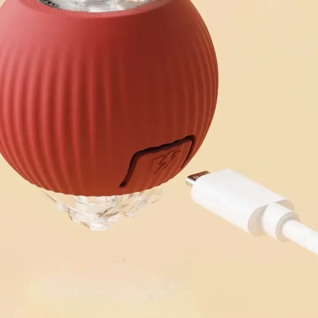 50% OFF | TailTango™ | Interactive Cat Toy Ball with Tail