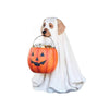 50% OFF | PumpkinPal™ | Halloween Candy Display