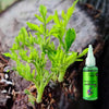1+1 Free | GreenBoost™ Maximizes Green Vitality