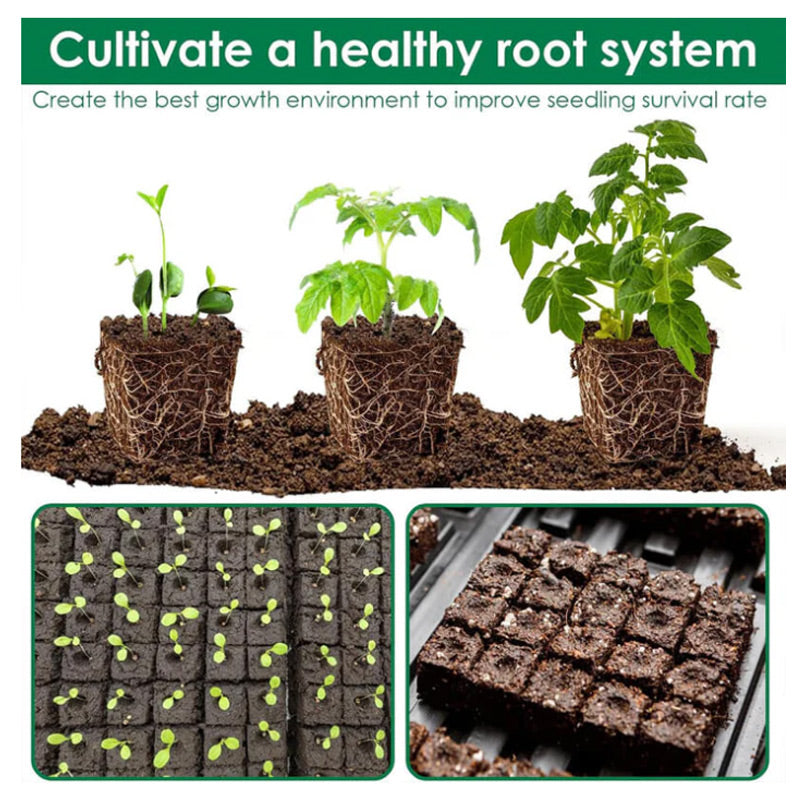 EcoBrick™ Root-Ready Blocks