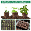 EcoBrick™ Root-Ready Blocks